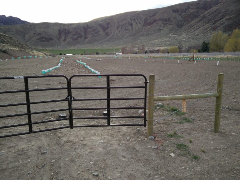 Large Soil Absorption System, Elk Bend Sewer District, Lemhi County, ID
